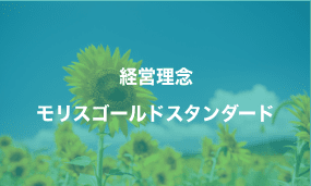 モリスゴールドスタンダード